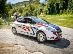 MSGC20140810150632©LDAngelo_04
